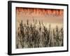 Views of Andalusia, Spain-Felipe Rodriguez-Framed Photographic Print