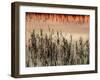 Views of Andalusia, Spain-Felipe Rodriguez-Framed Photographic Print