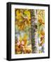 Views of Andalusia, Spain-Felipe Rodriguez-Framed Photographic Print