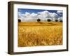 Views of Andalusia, Spain-Felipe Rodriguez-Framed Photographic Print