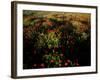 Views of Andalusia, Spain-Felipe Rodriguez-Framed Photographic Print