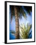 Views of Andalusia, Spain-Felipe Rodriguez-Framed Photographic Print