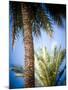 Views of Andalusia, Spain-Felipe Rodriguez-Mounted Photographic Print