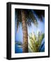 Views of Andalusia, Spain-Felipe Rodriguez-Framed Photographic Print