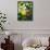 Views of Andalusia, Spain-Felipe Rodriguez-Framed Stretched Canvas displayed on a wall