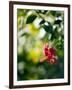 Views of Andalusia, Spain-Felipe Rodriguez-Framed Photographic Print