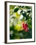 Views of Andalusia, Spain-Felipe Rodriguez-Framed Photographic Print