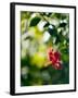 Views of Andalusia, Spain-Felipe Rodriguez-Framed Photographic Print