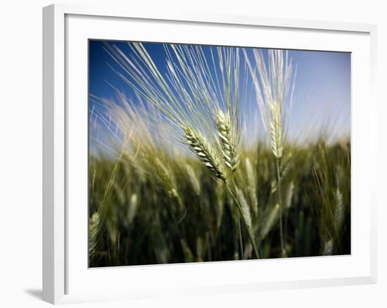 Views of Andalusia, Spain-Felipe Rodriguez-Framed Photographic Print