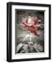 Views of Andalusia, Spain-Felipe Rodriguez-Framed Photographic Print