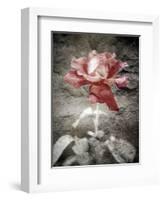 Views of Andalusia, Spain-Felipe Rodriguez-Framed Photographic Print