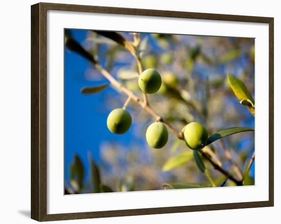 Views of Andalusia, Spain-Felipe Rodriguez-Framed Photographic Print