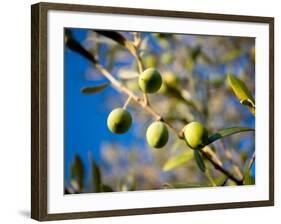 Views of Andalusia, Spain-Felipe Rodriguez-Framed Photographic Print