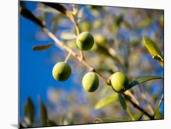 Views of Andalusia, Spain-Felipe Rodriguez-Mounted Photographic Print