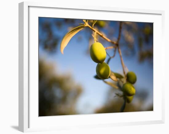 Views of Andalusia, Spain-Felipe Rodriguez-Framed Photographic Print