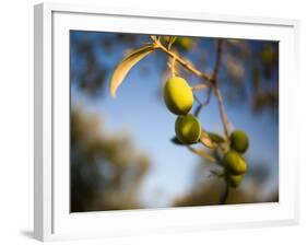 Views of Andalusia, Spain-Felipe Rodriguez-Framed Photographic Print