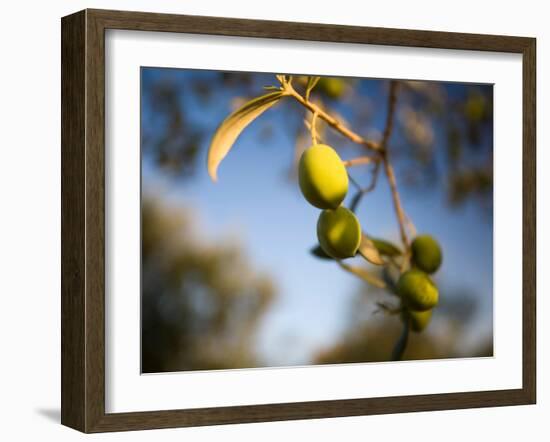 Views of Andalusia, Spain-Felipe Rodriguez-Framed Photographic Print