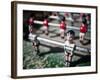 Views of Andalusia, Spain-Felipe Rodriguez-Framed Photographic Print