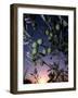 Views of Andalusia, Spain-Felipe Rodriguez-Framed Photographic Print