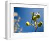 Views of Andalusia, Spain-Felipe Rodriguez-Framed Photographic Print