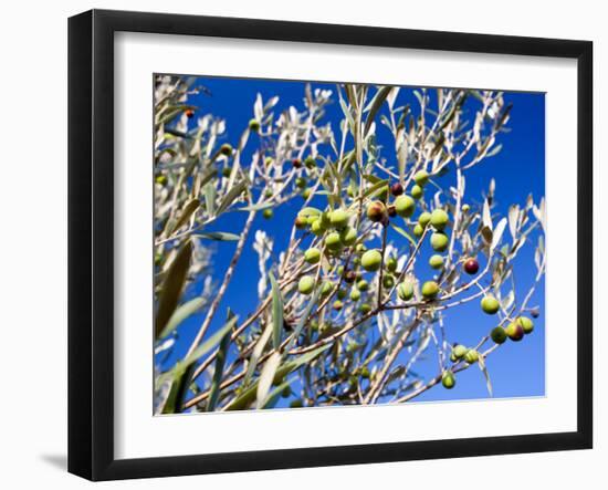 Views of Andalusia, Spain-Felipe Rodriguez-Framed Photographic Print