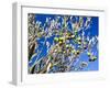 Views of Andalusia, Spain-Felipe Rodriguez-Framed Photographic Print