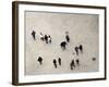 Views of Andalusia, Spain-Felipe Rodriguez-Framed Photographic Print