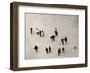 Views of Andalusia, Spain-Felipe Rodriguez-Framed Photographic Print