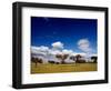 Views of Andalusia, Spain-Felipe Rodriguez-Framed Photographic Print