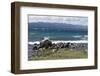 Views of Andes mountains by Lake Nahuel Huapi in Bariloche, Argentina, South America-Julio Etchart-Framed Photographic Print