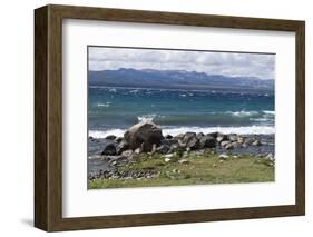 Views of Andes mountains by Lake Nahuel Huapi in Bariloche, Argentina, South America-Julio Etchart-Framed Photographic Print