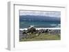 Views of Andes mountains by Lake Nahuel Huapi in Bariloche, Argentina, South America-Julio Etchart-Framed Photographic Print