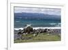 Views of Andes mountains by Lake Nahuel Huapi in Bariloche, Argentina, South America-Julio Etchart-Framed Photographic Print