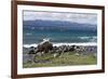 Views of Andes mountains by Lake Nahuel Huapi in Bariloche, Argentina, South America-Julio Etchart-Framed Photographic Print