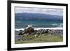 Views of Andes mountains by Lake Nahuel Huapi in Bariloche, Argentina, South America-Julio Etchart-Framed Photographic Print