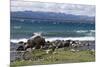 Views of Andes mountains by Lake Nahuel Huapi in Bariloche, Argentina, South America-Julio Etchart-Mounted Photographic Print