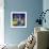 Views of August Stars-Mike Smith-Framed Giclee Print displayed on a wall