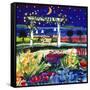 Views of August Stars-Mike Smith-Framed Stretched Canvas