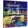 Views of August Stars-Mike Smith-Stretched Canvas