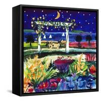Views of August Stars-Mike Smith-Framed Stretched Canvas