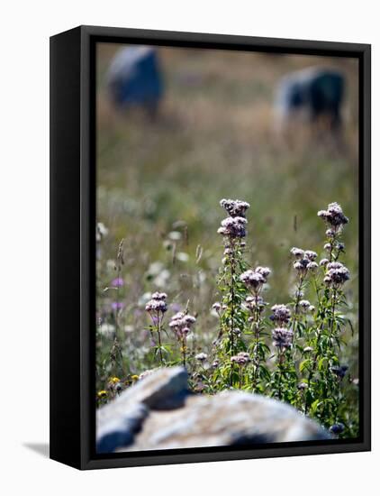 Views of Brittany, France-Felipe Rodriguez-Framed Stretched Canvas