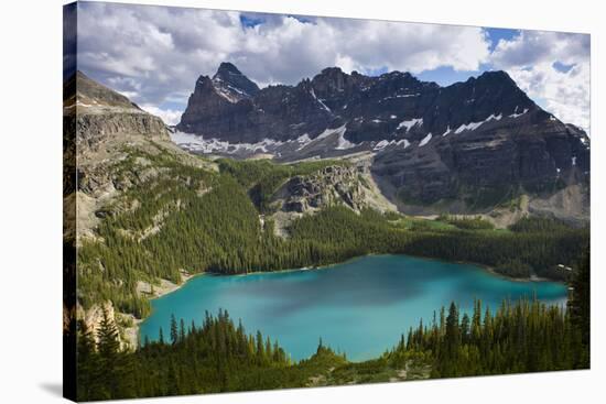 Views of Lake O'Hara and the Alpine Terrain in Yoho National Park, British Columbia, Canada-Sergio Ballivian-Stretched Canvas