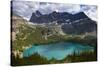 Views of Lake O'Hara and the Alpine Terrain in Yoho National Park, British Columbia, Canada-Sergio Ballivian-Stretched Canvas