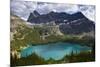 Views of Lake O'Hara and the Alpine Terrain in Yoho National Park, British Columbia, Canada-Sergio Ballivian-Mounted Photographic Print