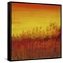 Views of Nature 12-Hilary Winfield-Framed Stretched Canvas