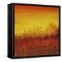 Views of Nature 12-Hilary Winfield-Framed Stretched Canvas