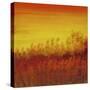 Views of Nature 12-Hilary Winfield-Stretched Canvas