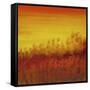 Views of Nature 12-Hilary Winfield-Framed Stretched Canvas