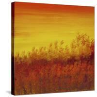 Views of Nature 12-Hilary Winfield-Stretched Canvas