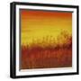 Views of Nature 12-Hilary Winfield-Framed Giclee Print